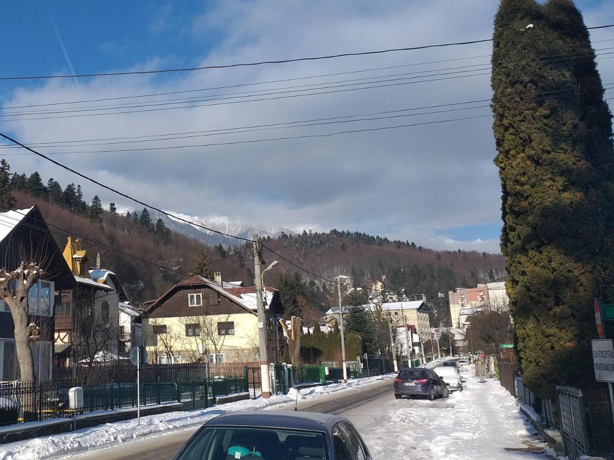 Testoasa Montana Sinaia Apartamento Exterior foto